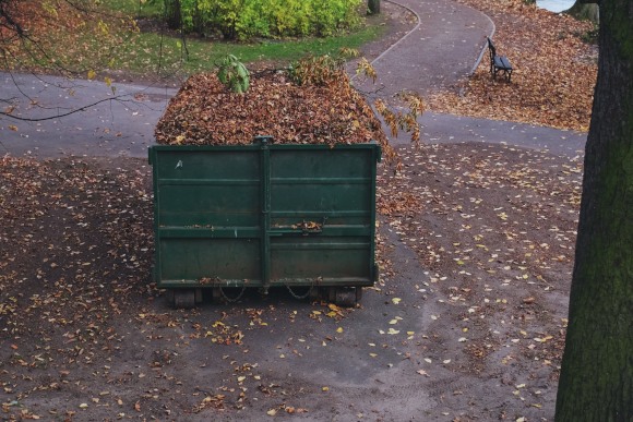 Dumpster Bin Full of Dry Fall Leaves Dumpster Bin Full of Dry Fall Leaves