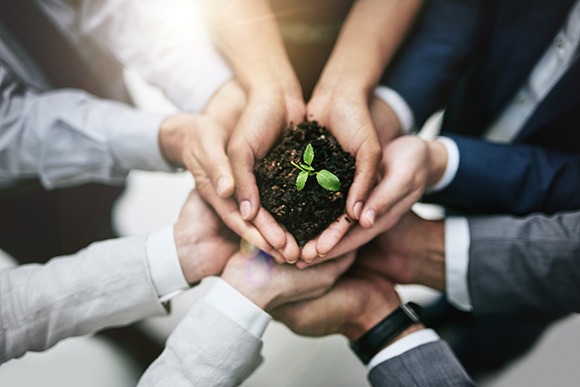 Team members' hands holding a small plant in soil Team members' hands holding a small plant in soil